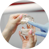 Plastic Partial Denture